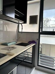 Daisy Suites (D13), Apartment #504506221